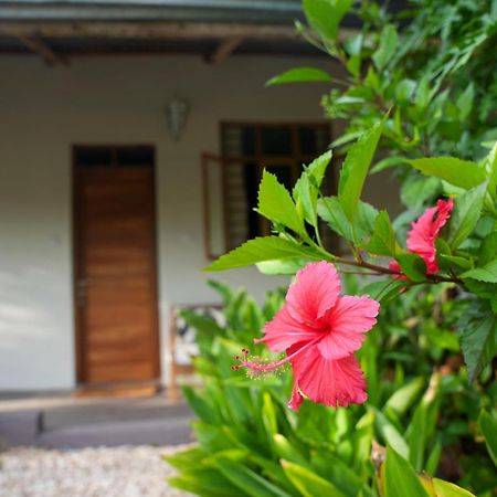 Kendwa Breeze Bungalows エクステリア 写真