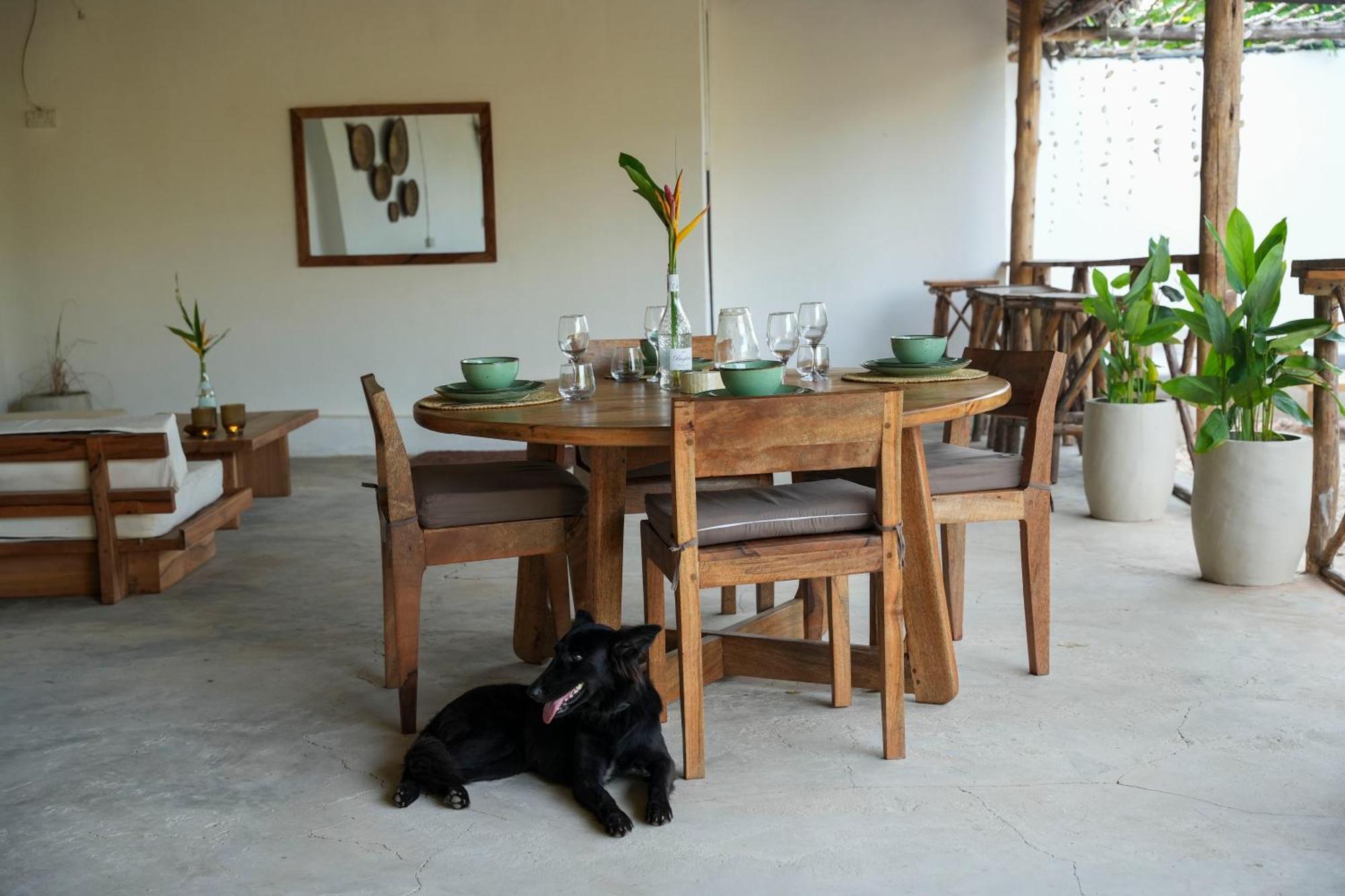 Kendwa Breeze Bungalows エクステリア 写真